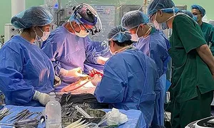 Bé trai suy thận hồi sinh nhờ ghép tạng