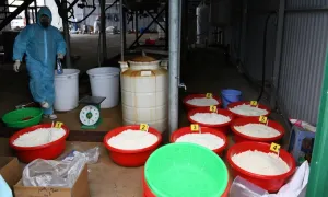 5 vụ buôn ma túy 'khủng' bị triệt phá trong năm 2025